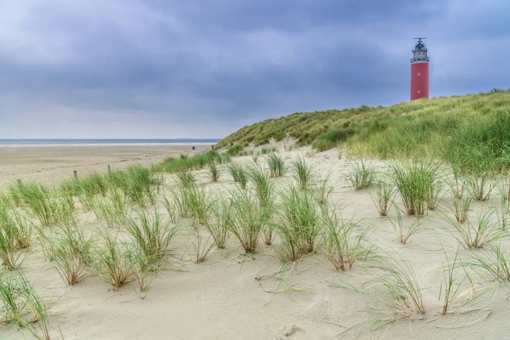 Duinen in de Bollenstreek